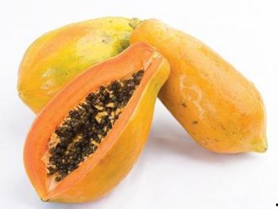 株洲吃瓜男,揭秘校园里的“瓜田”趣事