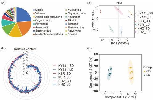 吃瓜传播周期,揭秘吃瓜传播周期的神奇魅力