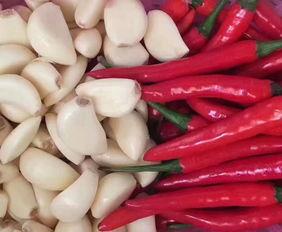 晒干扶手瓜怎么吃,晒干扶手瓜的多样食用方法探索