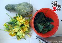 海花沟吃瓜,尽享田园生活乐趣