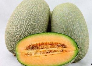 立冬吃瓜越吃越发,探寻传统习俗中的健康智慧