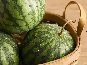 吃瓜还是新鲜的,新鲜瓜果，尽享夏日清凉