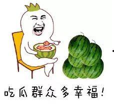 吃瓜郡众打个生肖,吃瓜群众眼中的生肖风云录