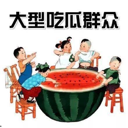 吃瓜郡众打个生肖,吃瓜群众眼中的生肖风云录