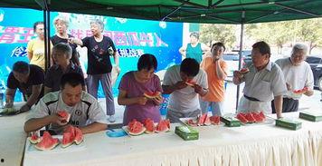 碧桂园吃瓜大赛