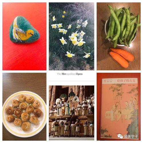 如何跟同事吃瓜,如何与同事共享“吃瓜”乐趣