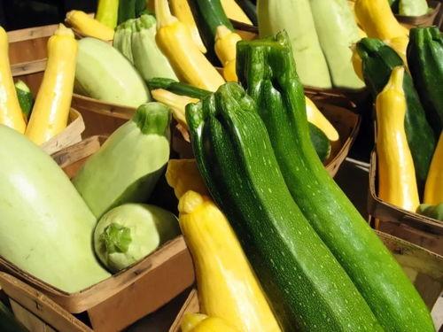 山东夏天吃的瓜