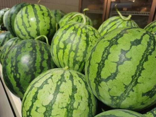 顶流社吃瓜,娱乐圈背后的真实故事