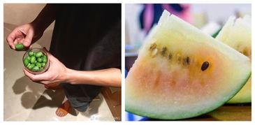 吃瓜群众 冰淇淋,揭秘吃瓜群众钟爱的冰淇淋魅力