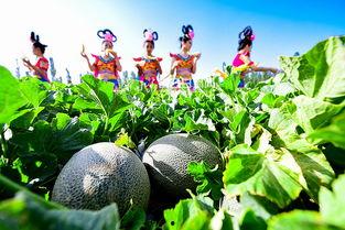 看仙女吃瓜,娱乐圈风云再起