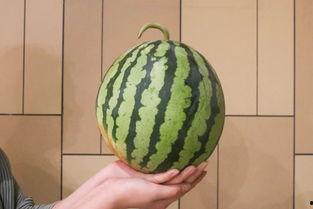 全瓜怎么吃,解锁多种吃法攻略