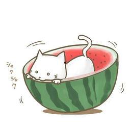 苏朱吃瓜,揭秘娱乐圈背后的那些事儿