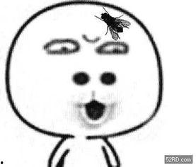 吃瓜苍蝇,揭秘娱乐圈的幕后真相