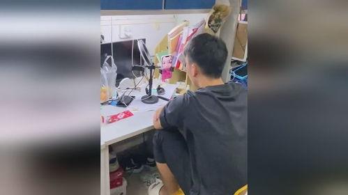 吃瓜男生被打视频,吃瓜男生被打事件引发关注