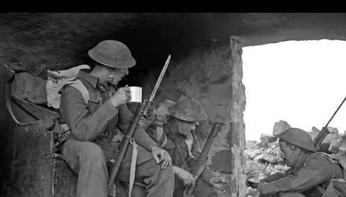 肖战时影吃瓜,揭秘娱乐圈背后的真相与八卦