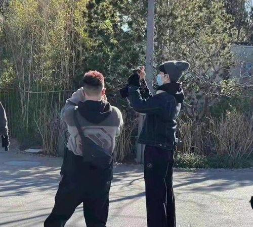 肖战时影吃瓜,揭秘娱乐圈背后的真相与八卦