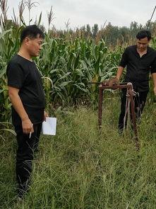 临清烟店吃瓜事件