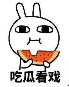 吃瓜偷听,揭秘吃瓜群众的秘密生活