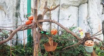 快递公司前排吃瓜,揭秘快递员背后的生活点滴