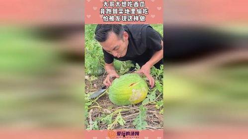 在菜地吃瓜,菜地里的悠闲时光