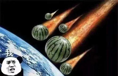 瓜地里吃瓜文案