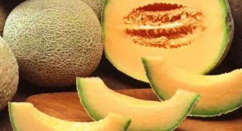 七仔吃哈密瓜,甜蜜时光的美好回忆