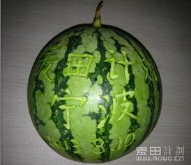 麦瓜吃吗短剧,爆笑日常，解锁生活新乐趣