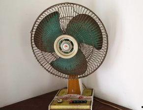 夏日吃瓜吹风扇,吃瓜吹风扇，畅享夏日时光