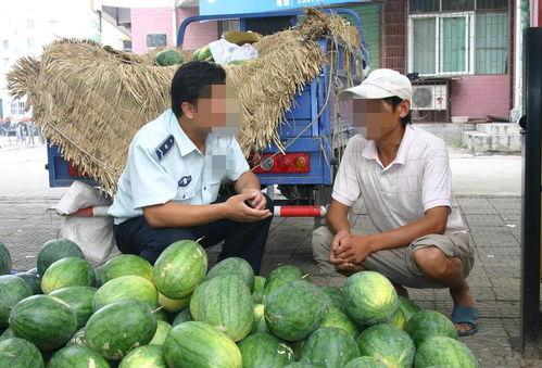 厦门疫情吃瓜图,一场网络热议背后的真相与反思