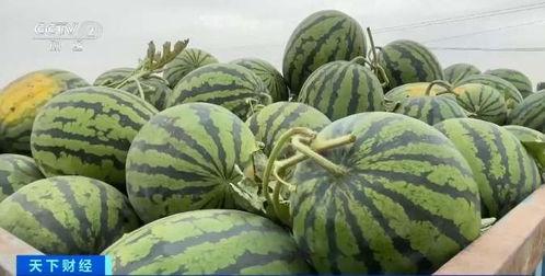 重邮吃瓜,揭秘校园热点事件背后的真相