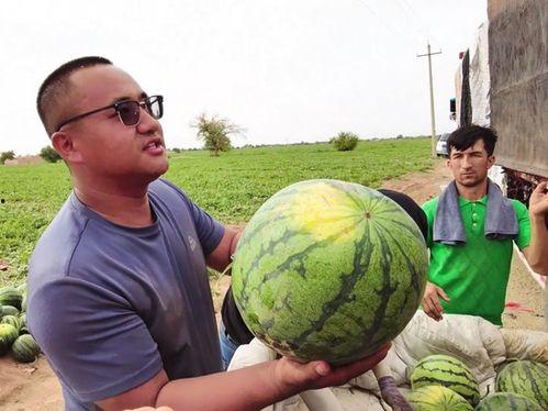 2022清华吃瓜,揭秘校园热点事件背后的真相