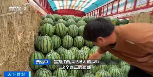 2022清华吃瓜,揭秘校园热点事件背后的真相