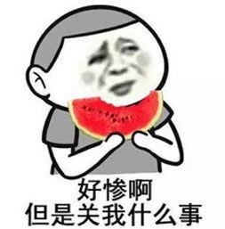 淡定吃瓜头像,笑看风云