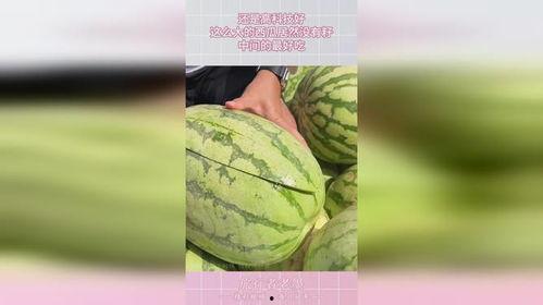 科技吃瓜怎么了,揭秘“吃瓜群众”的科技生活