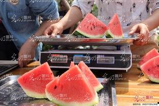 山东今日吃瓜新闻,揭秘当地热点事件背后的真相