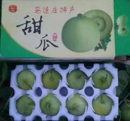 宝宝羊角瓜怎么吃,营养美味的多样化食用指南