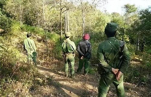 缅北打仗吃瓜群众,吃瓜群众的视角解读