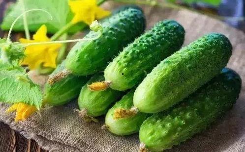 随瓜咋吃营养,营养搭配指南