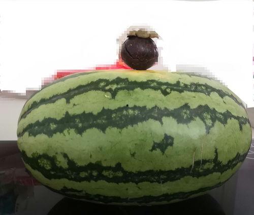 还有多少瓜可以吃