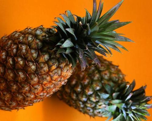 吃菠萝的瓜,探寻热带水果的独特魅力