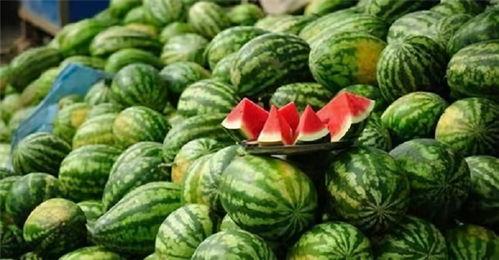 放弃吃瓜,拥抱生活新篇章