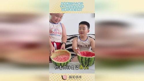 吃瓜兄弟俩,揭秘娱乐圈背后的甜蜜瓜田