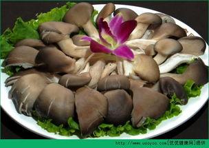 骨折可以吃瓜不