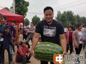 吃瓜中牟县,吃瓜群众的视角看地方风情