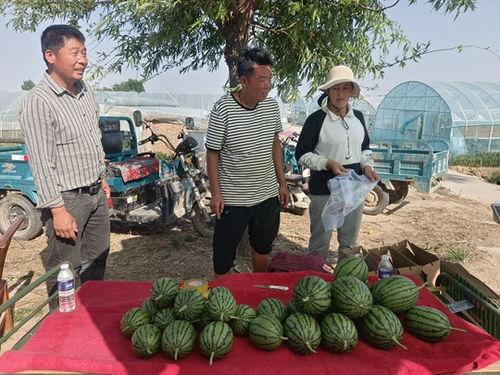 吃瓜中牟县,吃瓜群众的视角看地方风情