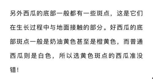 吃瓜人的执着,揭秘吃瓜人的执着与热情