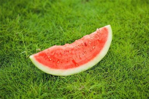 吃瓜嘴苦发麻,揭秘瓜类美食的奇妙体验