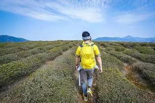 徒步丽丽吃瓜,一路吃瓜，畅游山水间