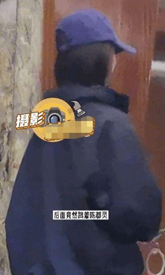 迷惑人吃瓜,揭秘迷惑人吃瓜背后的真相与内幕