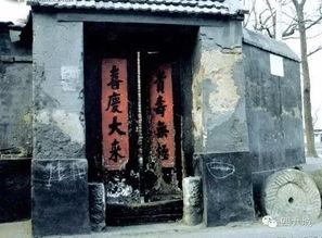 大杂院快乐吃瓜日常,大杂院里的欢乐瓜果时光